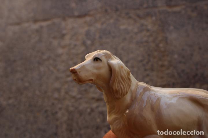 Antig&uuml;edades: perro cocker de deramica - Foto 3