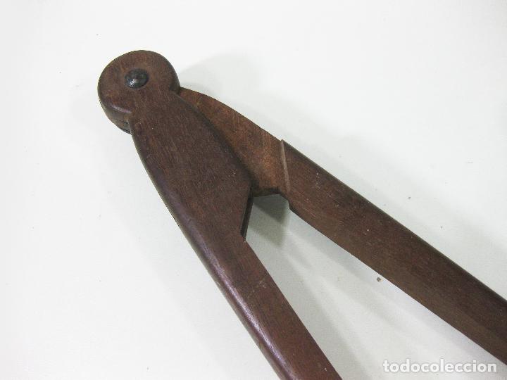 Antig&uuml;edades: COMPAS DE MADERA PARA ENSE&Ntilde;ANZA O MEDICI&Oacute;N - Foto 3