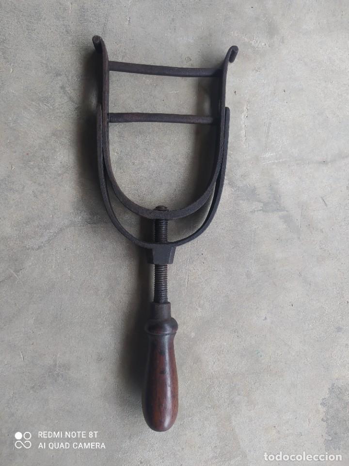 Antig&uuml;edades: HERRAMIENTA PARA MIRAR LOS DIENTES A LOS CABALLOS - Foto 1