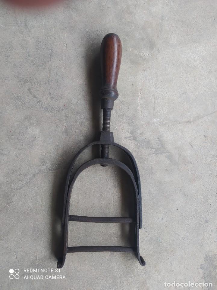 Antig&uuml;edades: HERRAMIENTA PARA MIRAR LOS DIENTES A LOS CABALLOS - Foto 2
