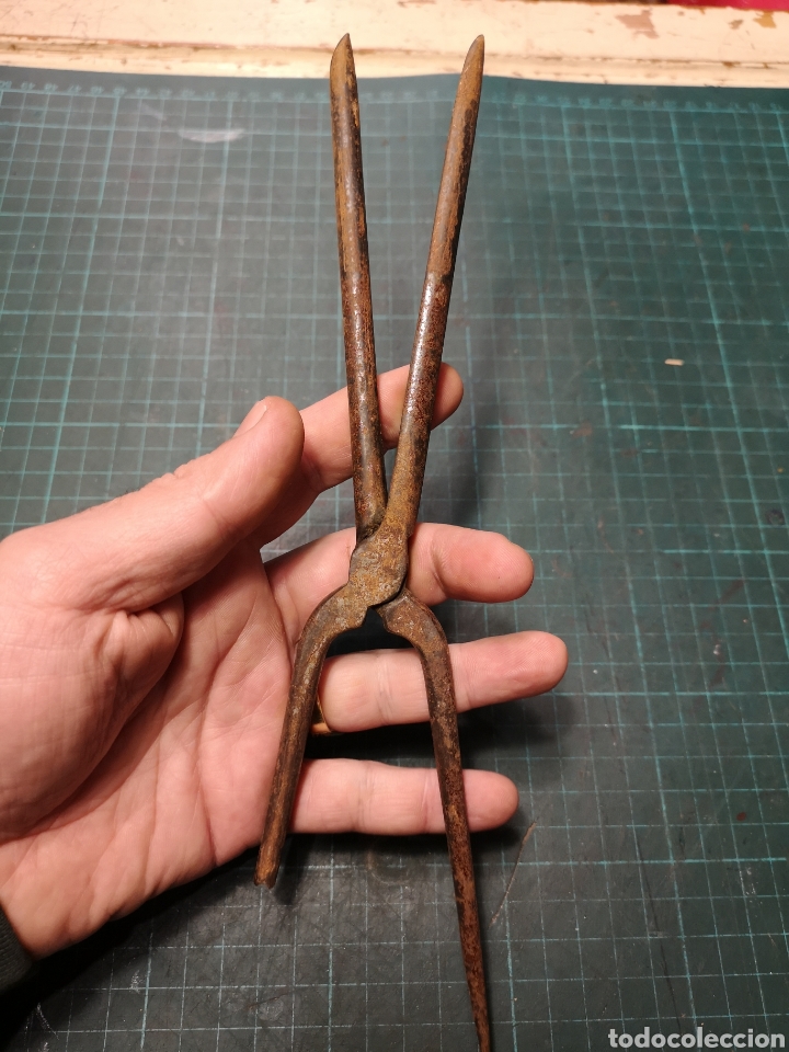 Antig&uuml;edades: Herramientas Peluquer&iacute;a - Foto 5