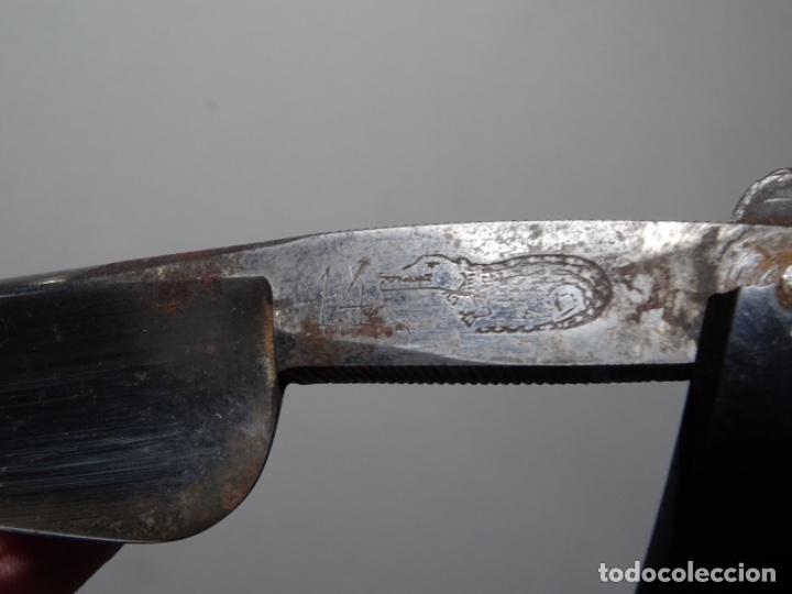 Antig&uuml;edades: NAVAJA DE AFEITAR COCODRILO 14. - Foto 4