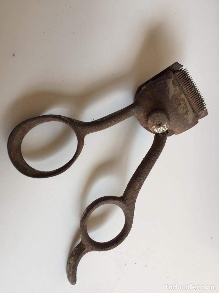 Antig&uuml;edades: Cortadora de pelo PRANAFA 120 - Foto 4