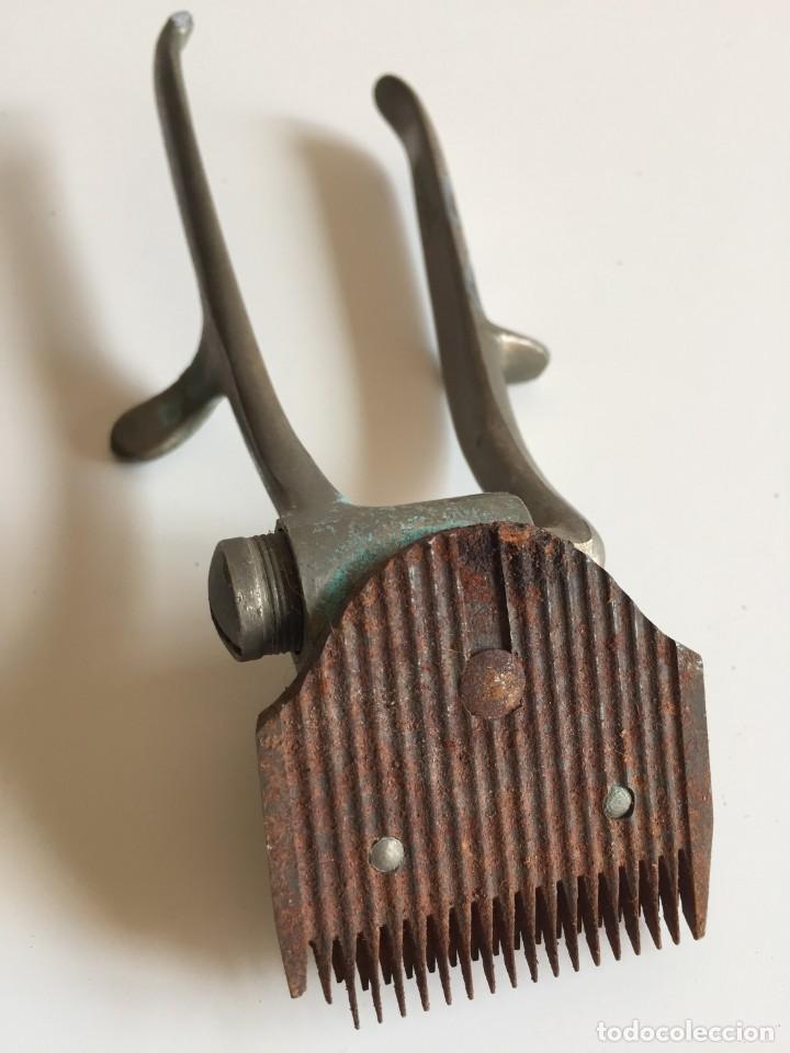 Antig&uuml;edades: Cortadora de pelo GURELAN - Foto 4