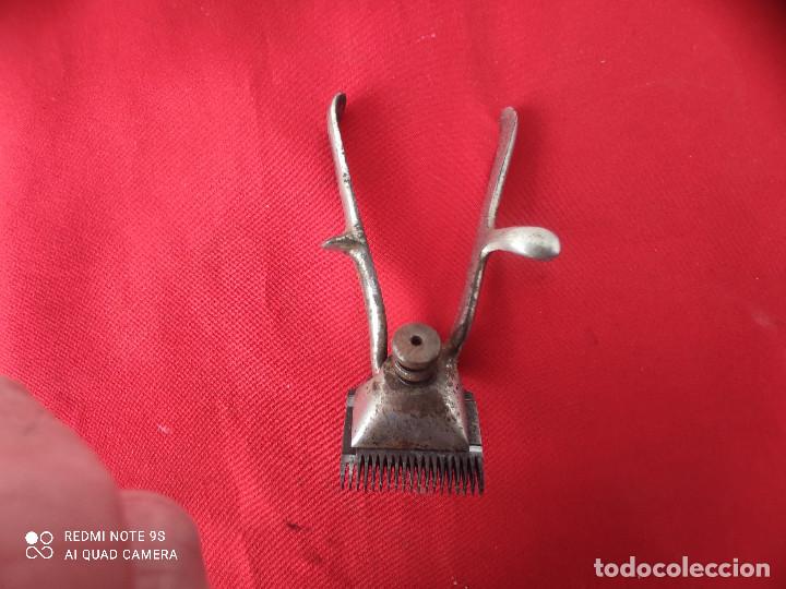 Antig&uuml;edades: maquinilla de pelar antigua - Foto 1