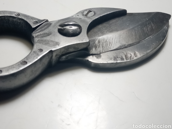 Antig&uuml;edades: Tijeras de poda peque&ntilde;as - Foto 1