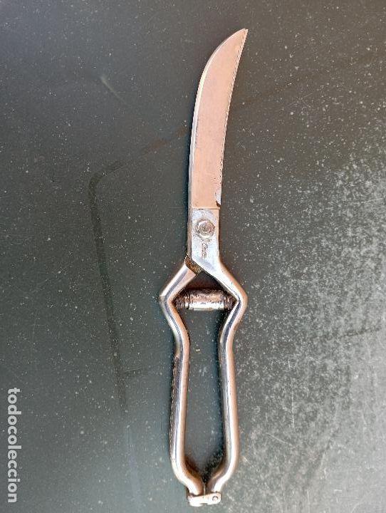 Antig&uuml;edades: TIJERA CURVADA INOX - Foto 2
