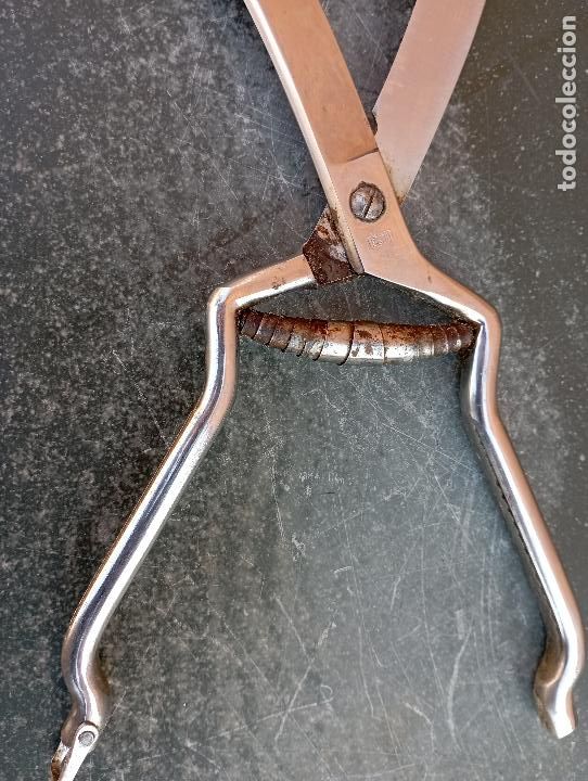 Antig&uuml;edades: TIJERA CURVADA INOX - Foto 5