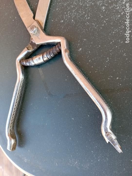 Antig&uuml;edades: TIJERA CURVADA INOX - Foto 6