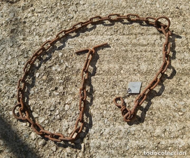 Antig&uuml;edades: Cadena para trabar animales, 125 cm - Foto 1