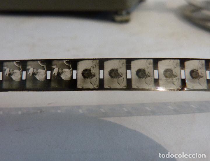 Antig&uuml;edades: Proyector Cinegel Royal 210 - Foto 11