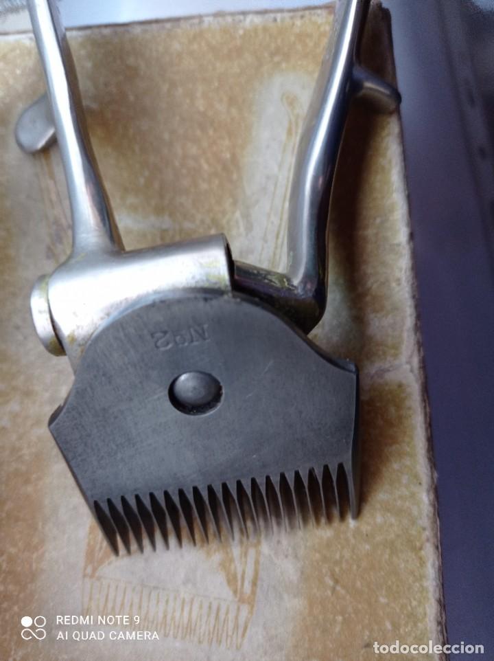Antig&uuml;edades: MAQUINA DE CORTAR EL PELO - Foto 3