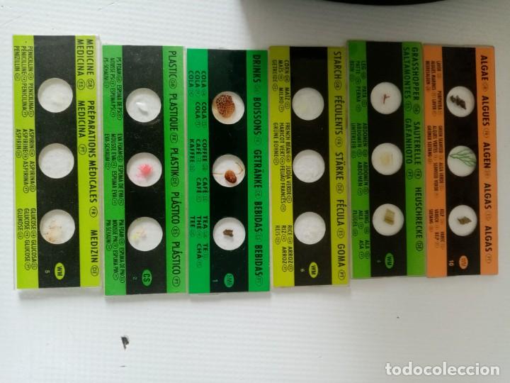 Antig&uuml;edades: MICROSCOPIO INFANTIL C.O.C. CON LUZ Y EN CAJA DE MADERA - Foto 15