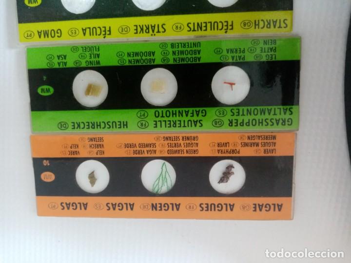 Antig&uuml;edades: MICROSCOPIO INFANTIL C.O.C. CON LUZ Y EN CAJA DE MADERA - Foto 16