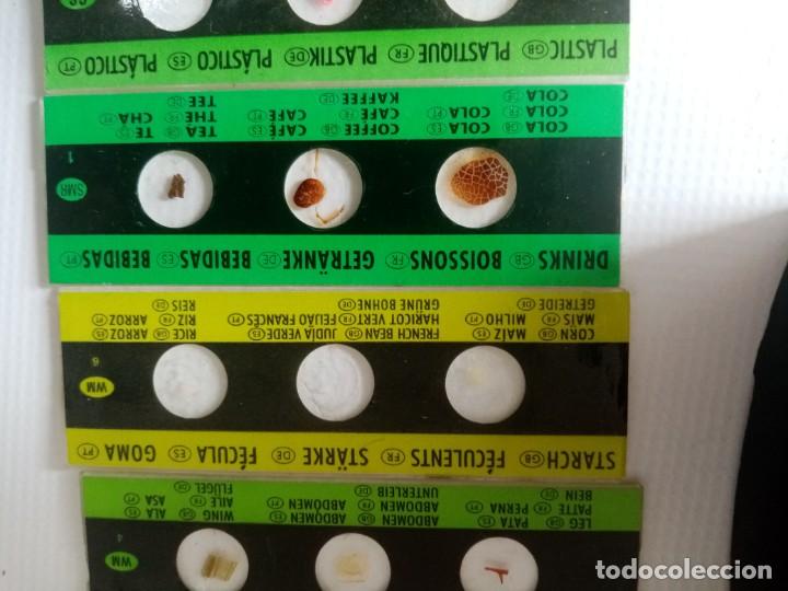Antig&uuml;edades: MICROSCOPIO INFANTIL C.O.C. CON LUZ Y EN CAJA DE MADERA - Foto 17