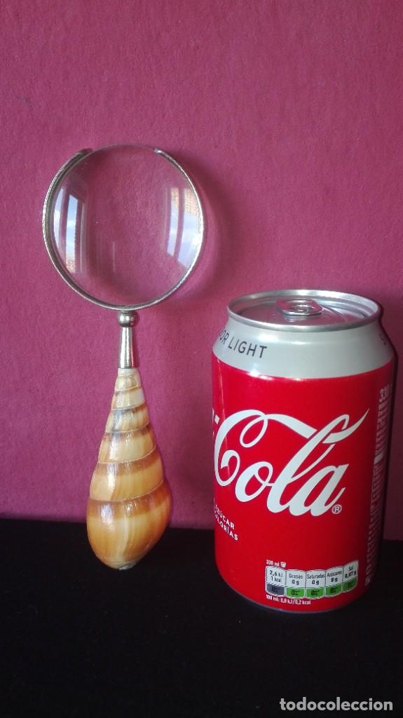 Antig&uuml;edades: LUPA MANGO CARACOLA - Foto 2