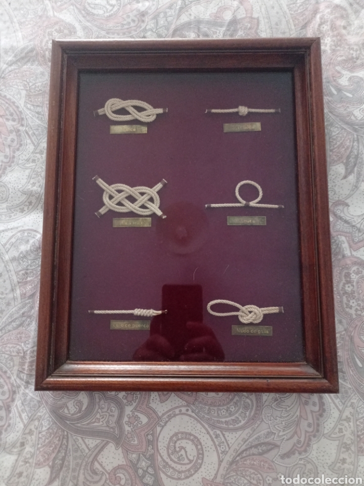 Antig&uuml;edades: Cuadro vitrina de nudos marineros - Foto 2