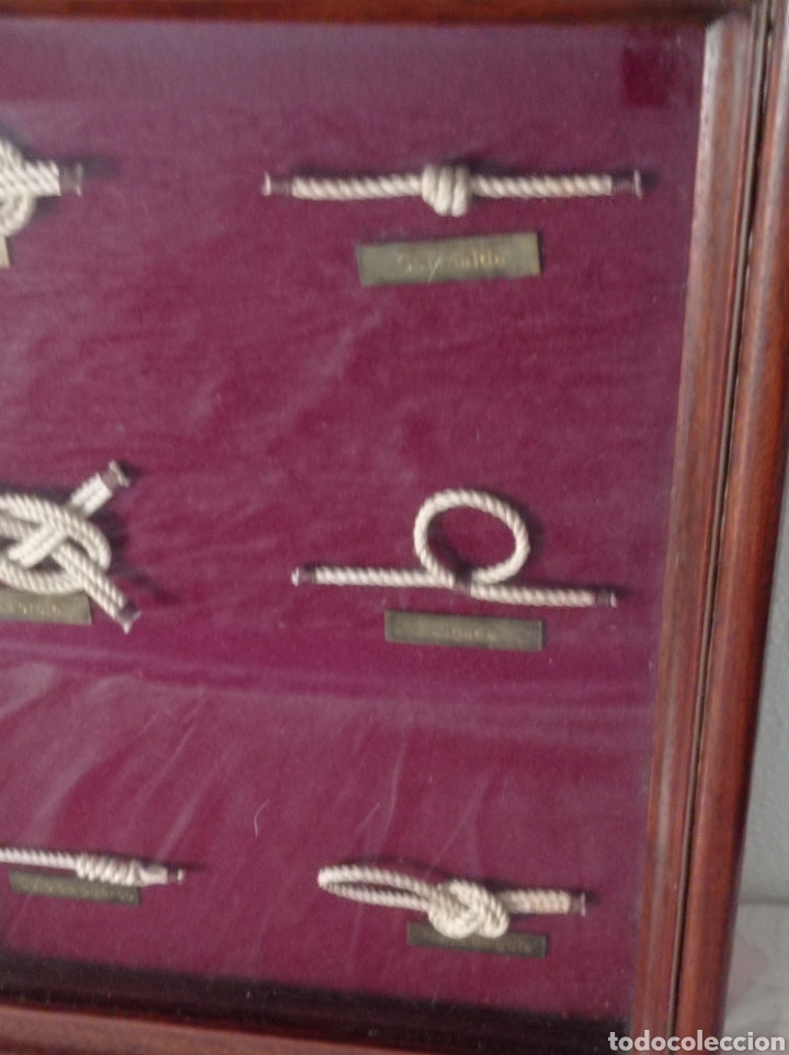 Antig&uuml;edades: Cuadro vitrina de nudos marineros - Foto 5