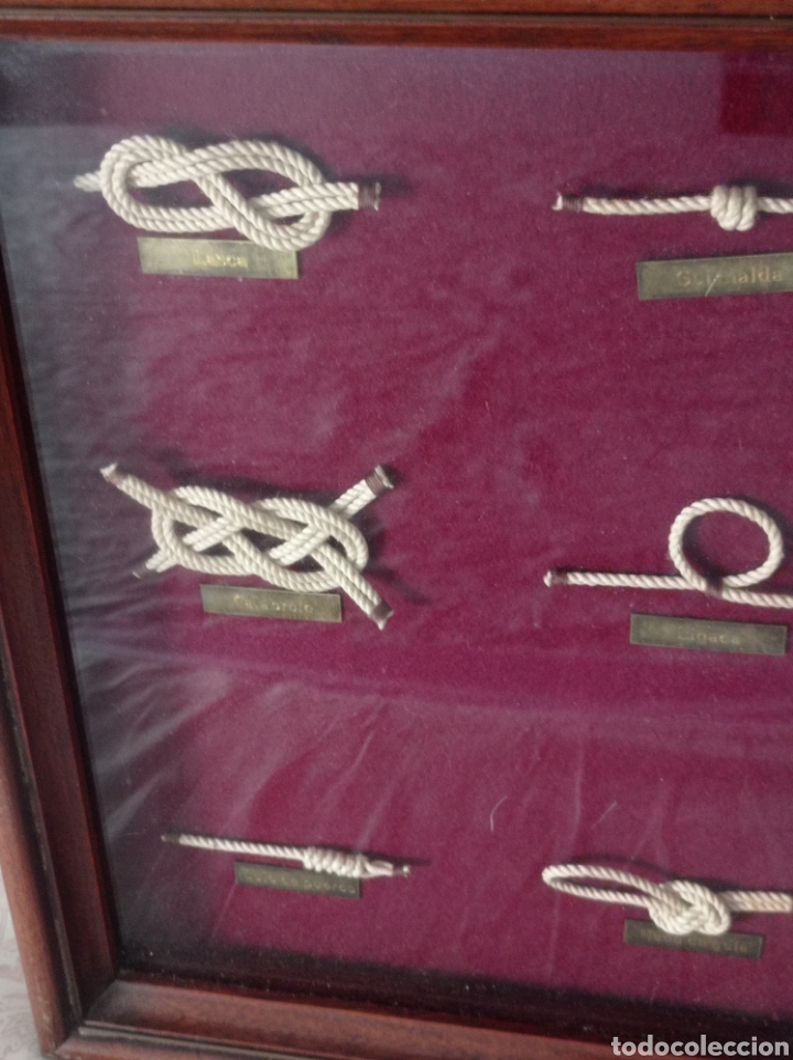 Antig&uuml;edades: Cuadro vitrina de nudos marineros - Foto 6