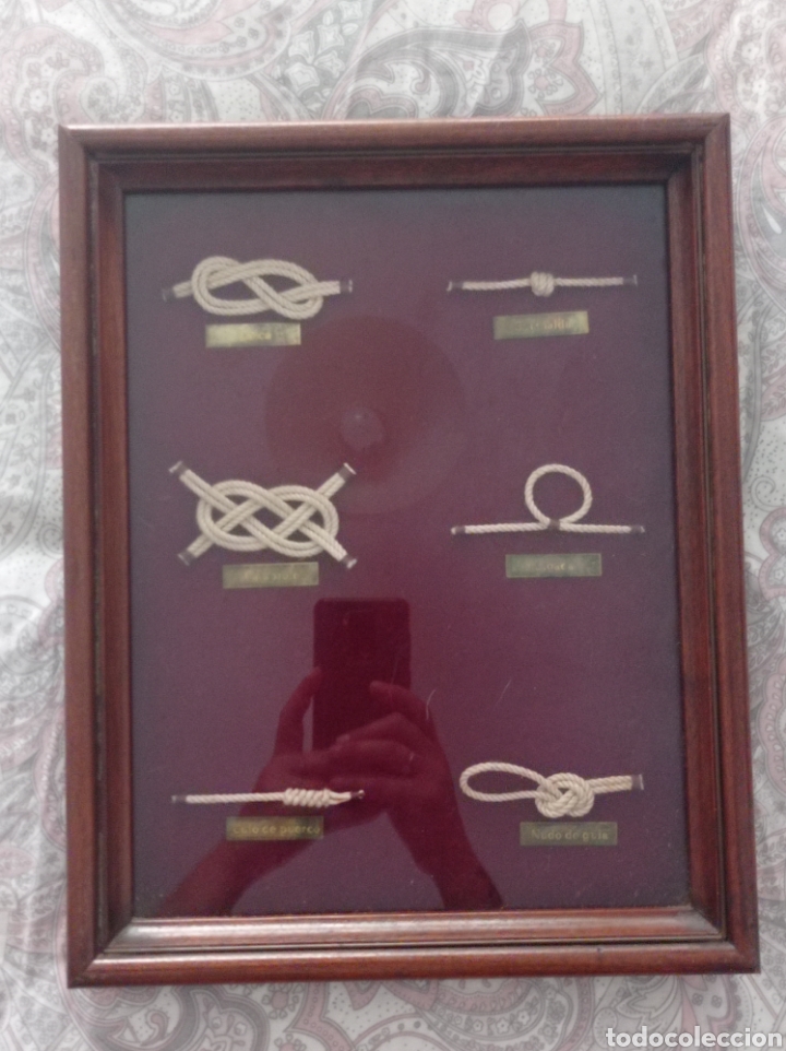 Antig&uuml;edades: Cuadro vitrina de nudos marineros - Foto 1