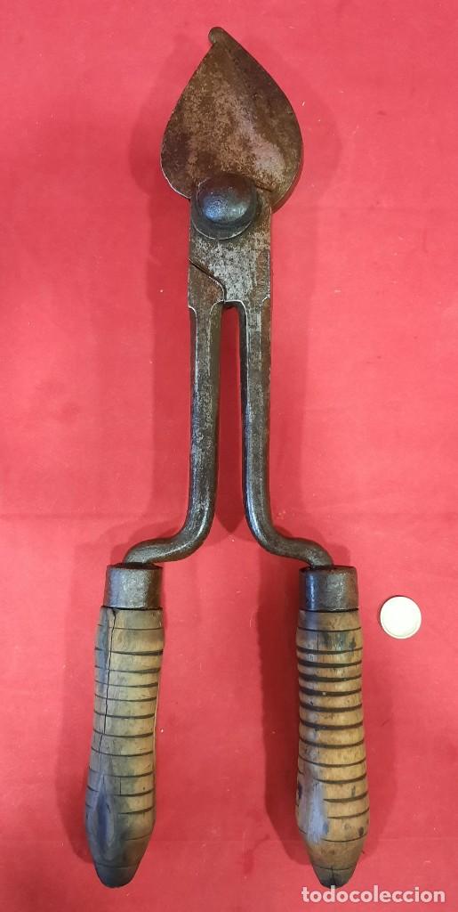 Antig&uuml;edades: TIJERAS DE PODA DE FORJA - Foto 1