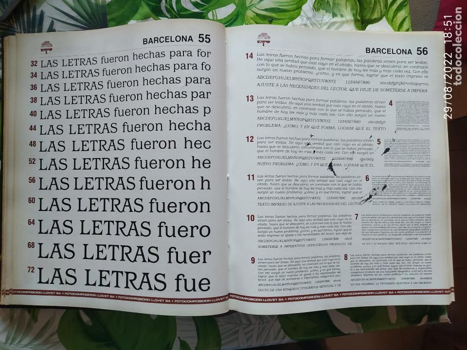 Antig&uuml;edades: Cat&aacute;logo de Tipos Fotocomposici&oacute;n Llovet - Foto 3