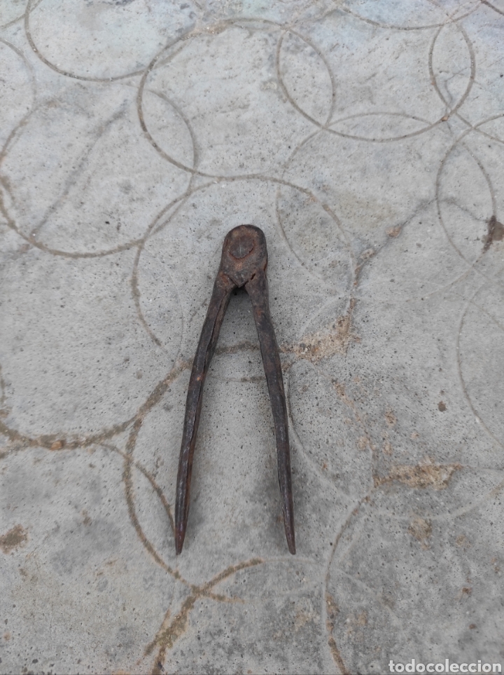 Antig&uuml;edades: Peque&ntilde;o y Antiguo Comp&aacute;s de Hierro - Foto 1