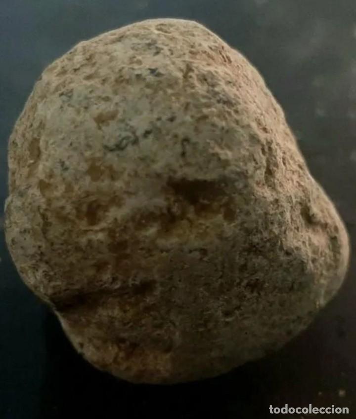 Antig&uuml;edades: P&eacute;ndulo romano. Gran medida y peso - Foto 2