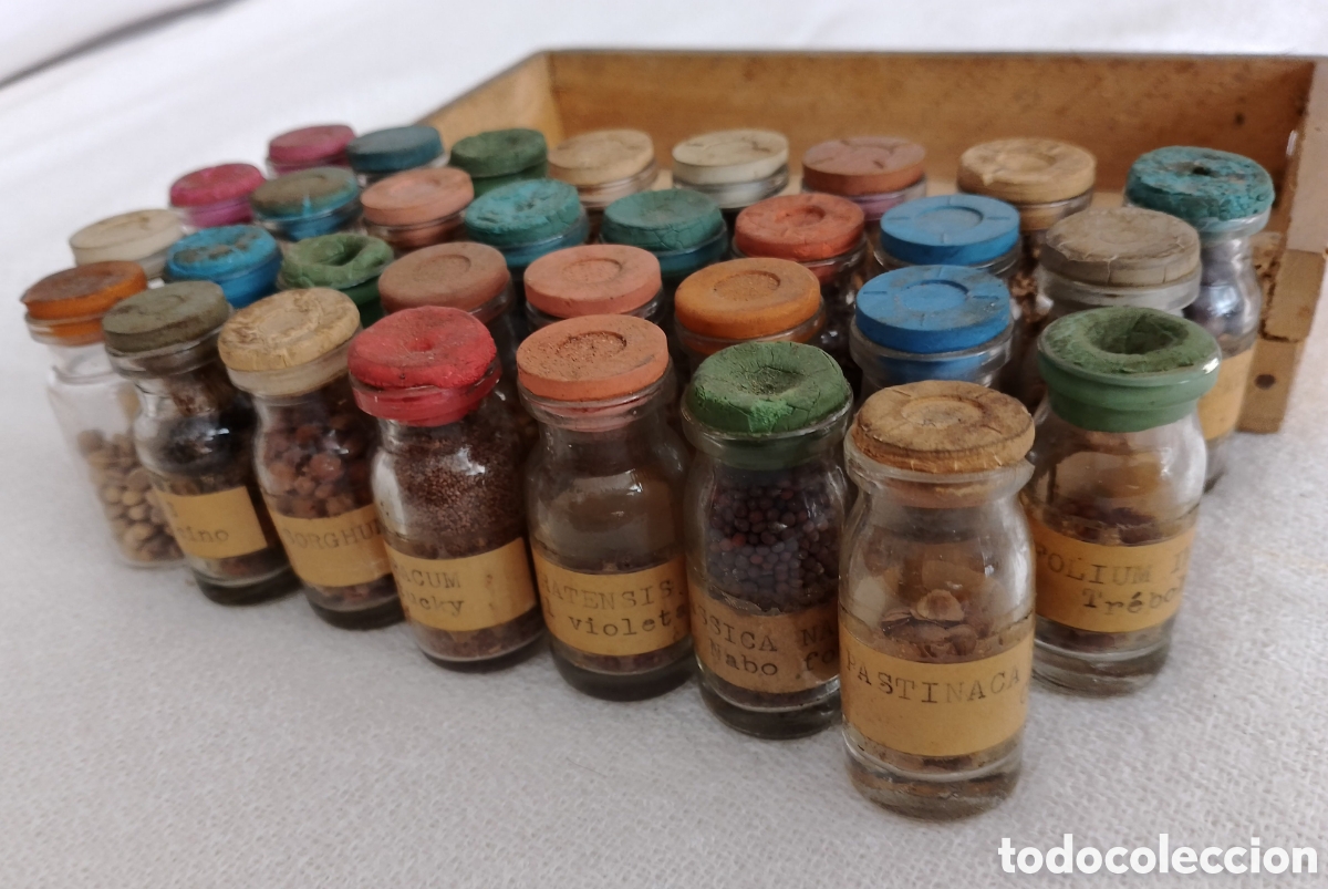 Antig&uuml;edades: Antiguos Frascos Semillas. - Foto 2