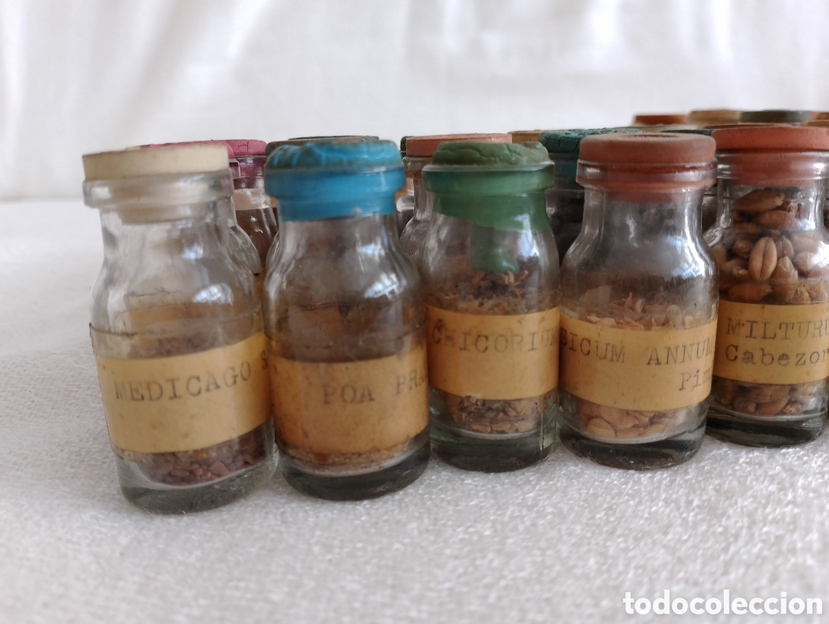 Antig&uuml;edades: Antiguos Frascos Semillas. - Foto 3