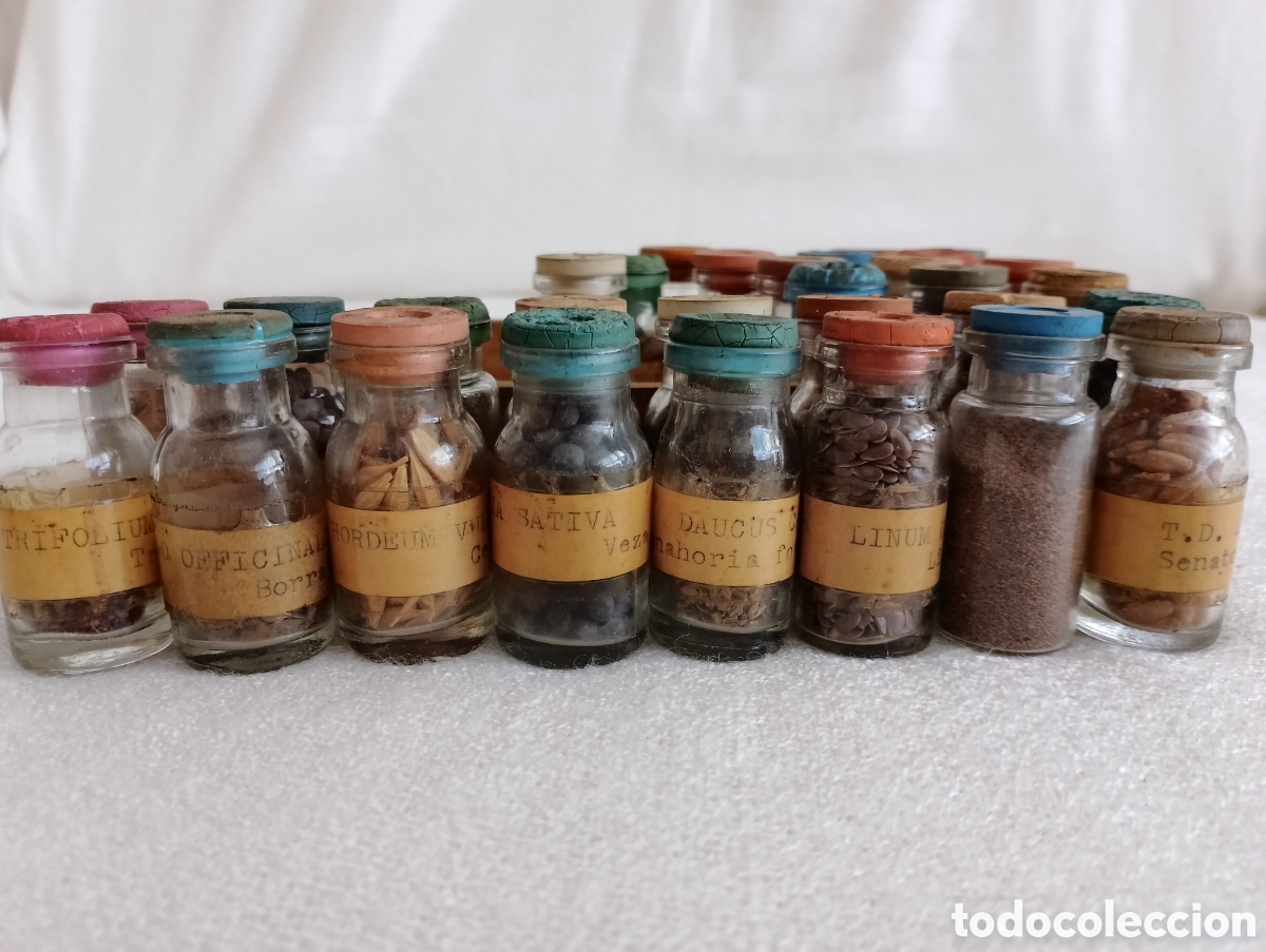 Antig&uuml;edades: Antiguos Frascos Semillas. - Foto 4
