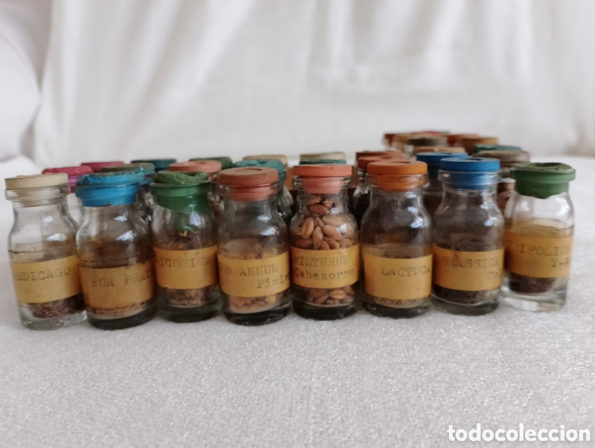 Antig&uuml;edades: Antiguos Frascos Semillas. - Foto 7