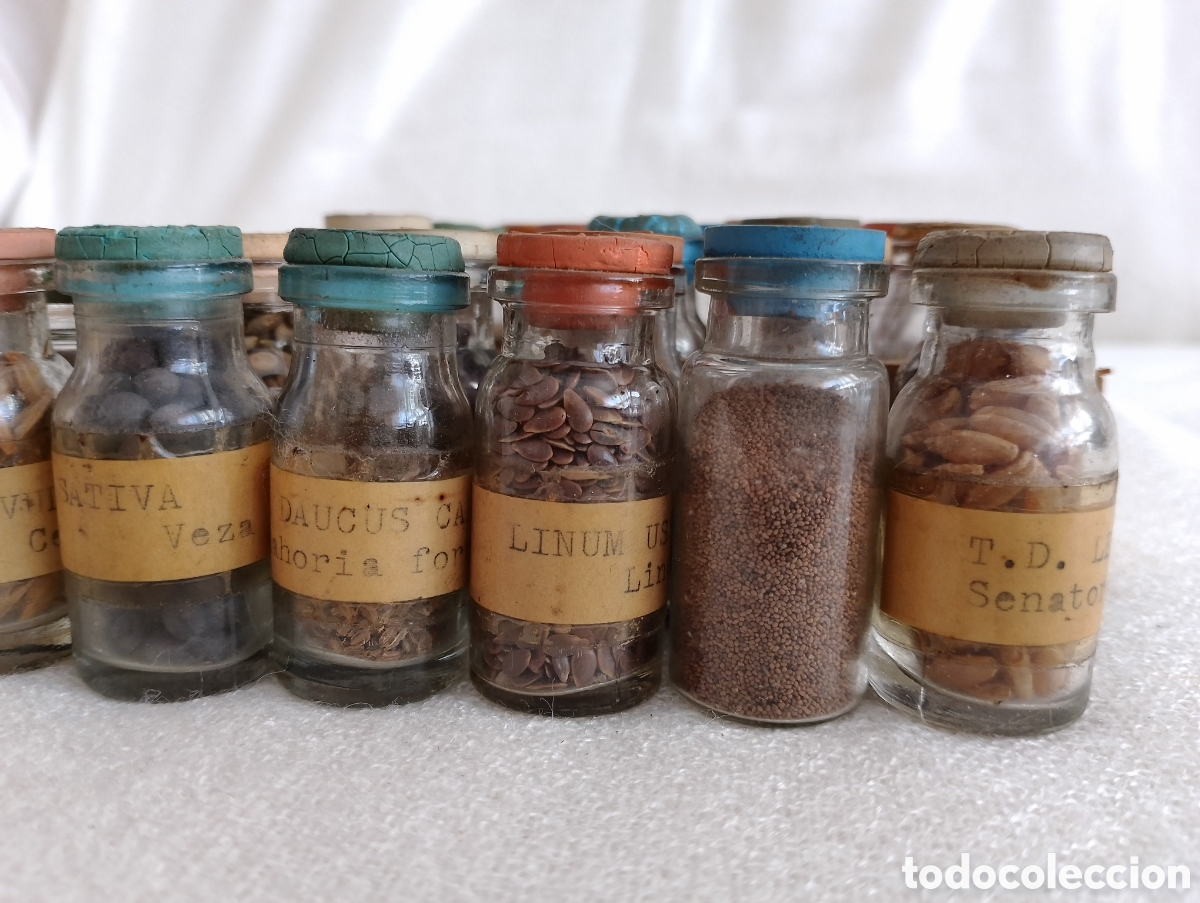 Antig&uuml;edades: Antiguos Frascos Semillas. - Foto 8