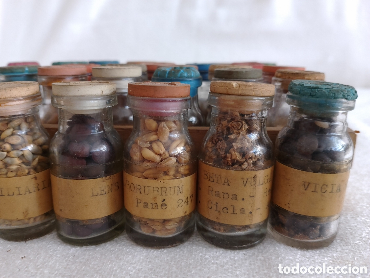 Antig&uuml;edades: Antiguos Frascos Semillas. - Foto 10