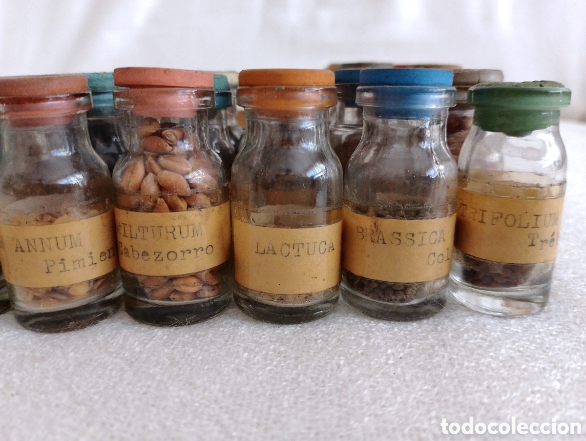 Antig&uuml;edades: Antiguos Frascos Semillas. - Foto 12