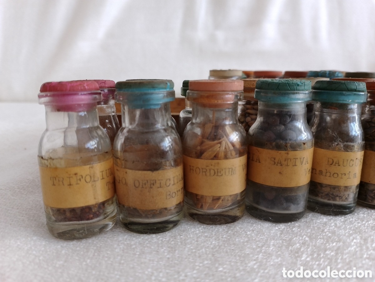 Antig&uuml;edades: Antiguos Frascos Semillas. - Foto 13
