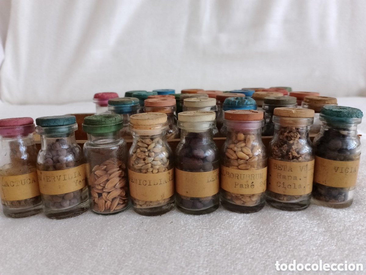 Antig&uuml;edades: Antiguos Frascos Semillas. - Foto 14