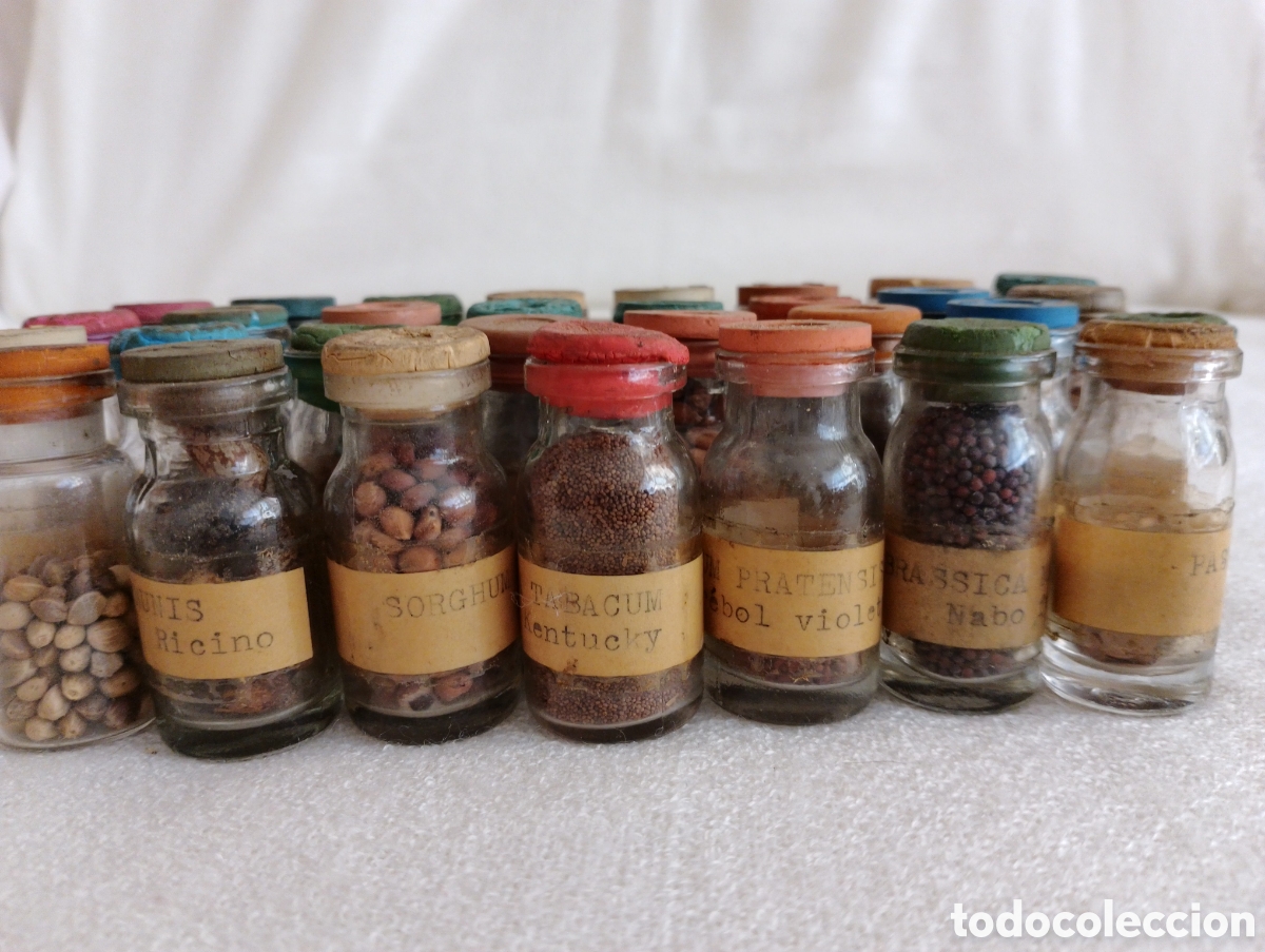 Antig&uuml;edades: Antiguos Frascos Semillas. - Foto 15