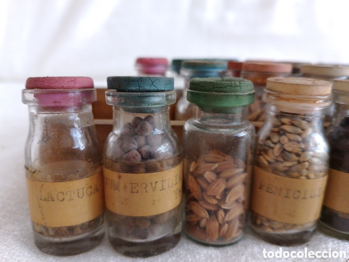 Antig&uuml;edades: Antiguos Frascos Semillas. - Foto 16