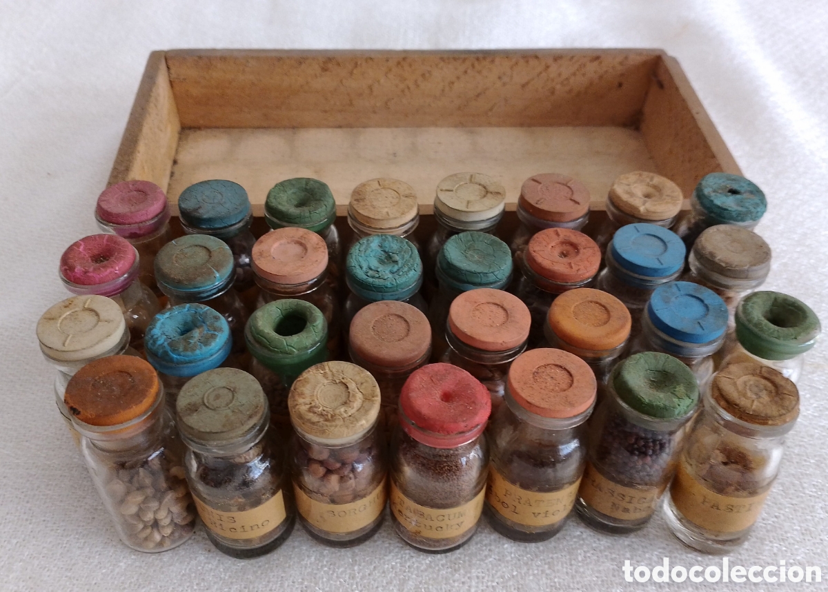 Antig&uuml;edades: Antiguos Frascos Semillas. - Foto 1