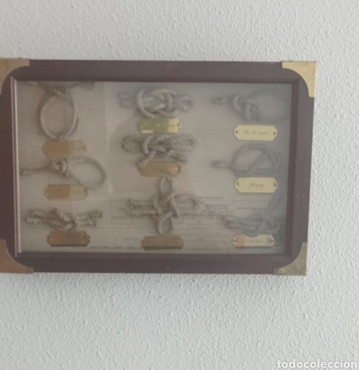 Antig&uuml;edades: Vitrina de nudos - Foto 2