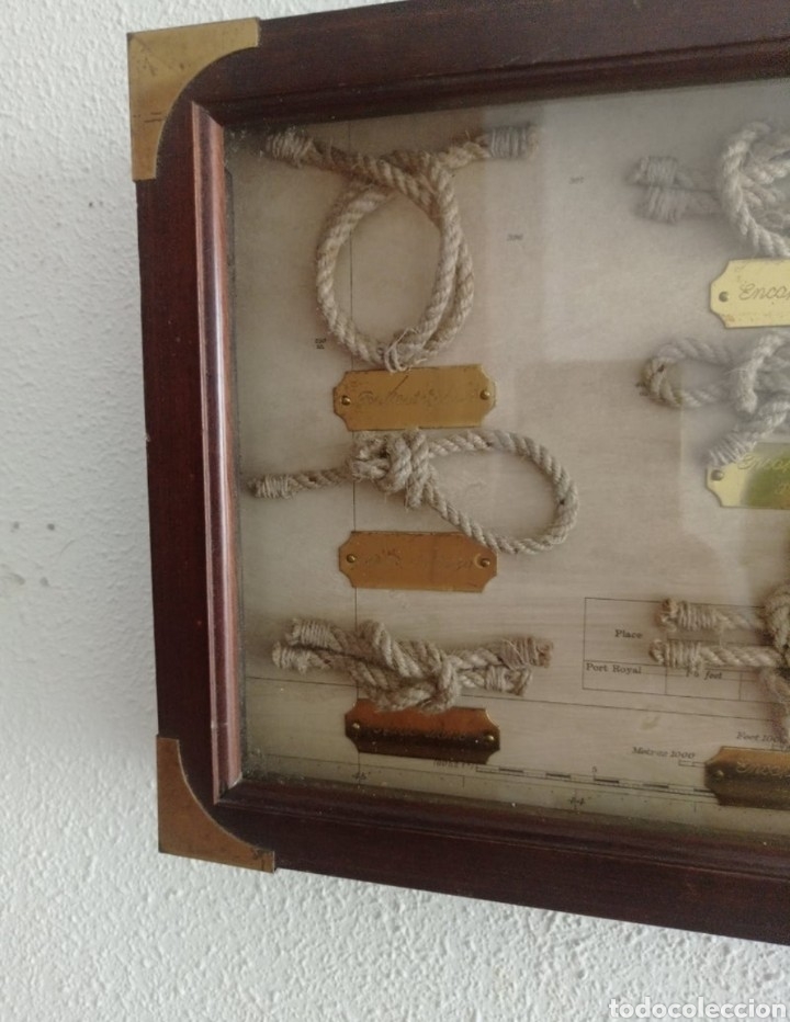 Antig&uuml;edades: Vitrina de nudos - Foto 3