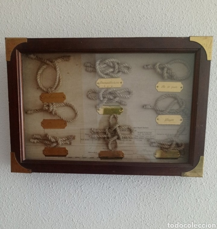 Antig&uuml;edades: Vitrina de nudos - Foto 4