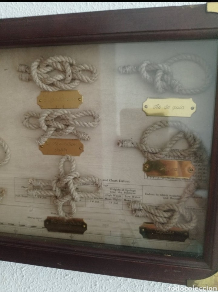 Antig&uuml;edades: Vitrina de nudos - Foto 7