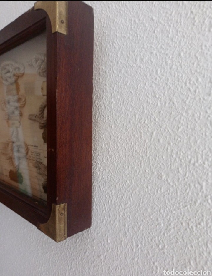 Antig&uuml;edades: Vitrina de nudos - Foto 8