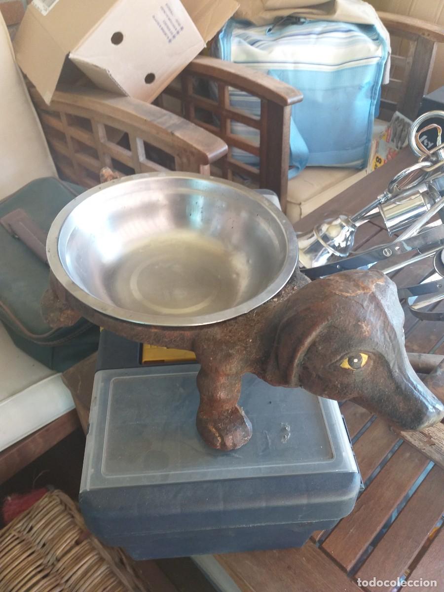 Antig&uuml;edades: comedero para perros en hierro fundido - Foto 5