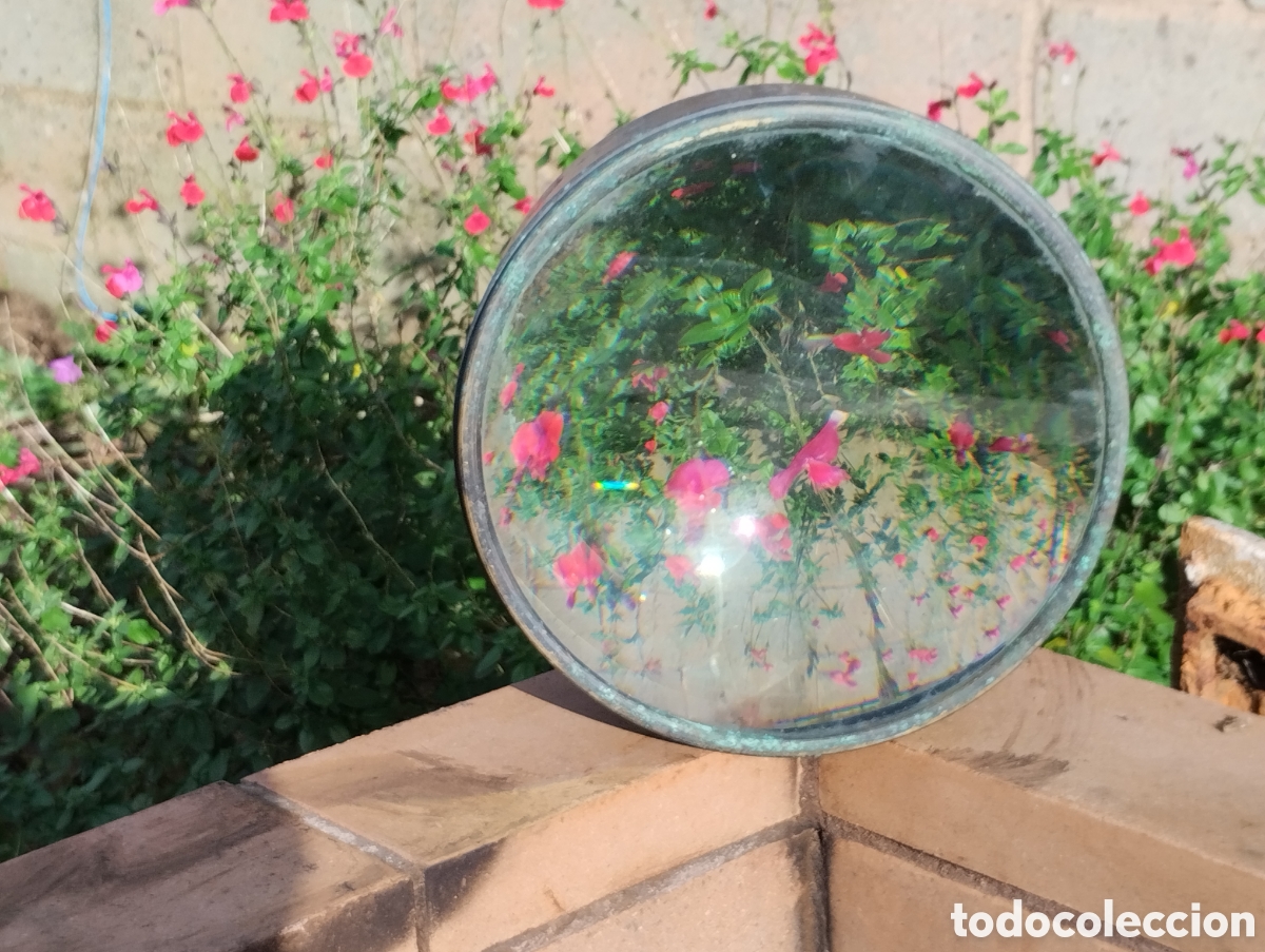 Antig&uuml;edades: GRAN LUPA - Foto 14