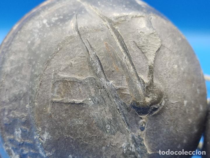 Antig&uuml;edades: BOYAS DE PESCA EN ALUMINIO MADE IN SPAIN - Foto 9