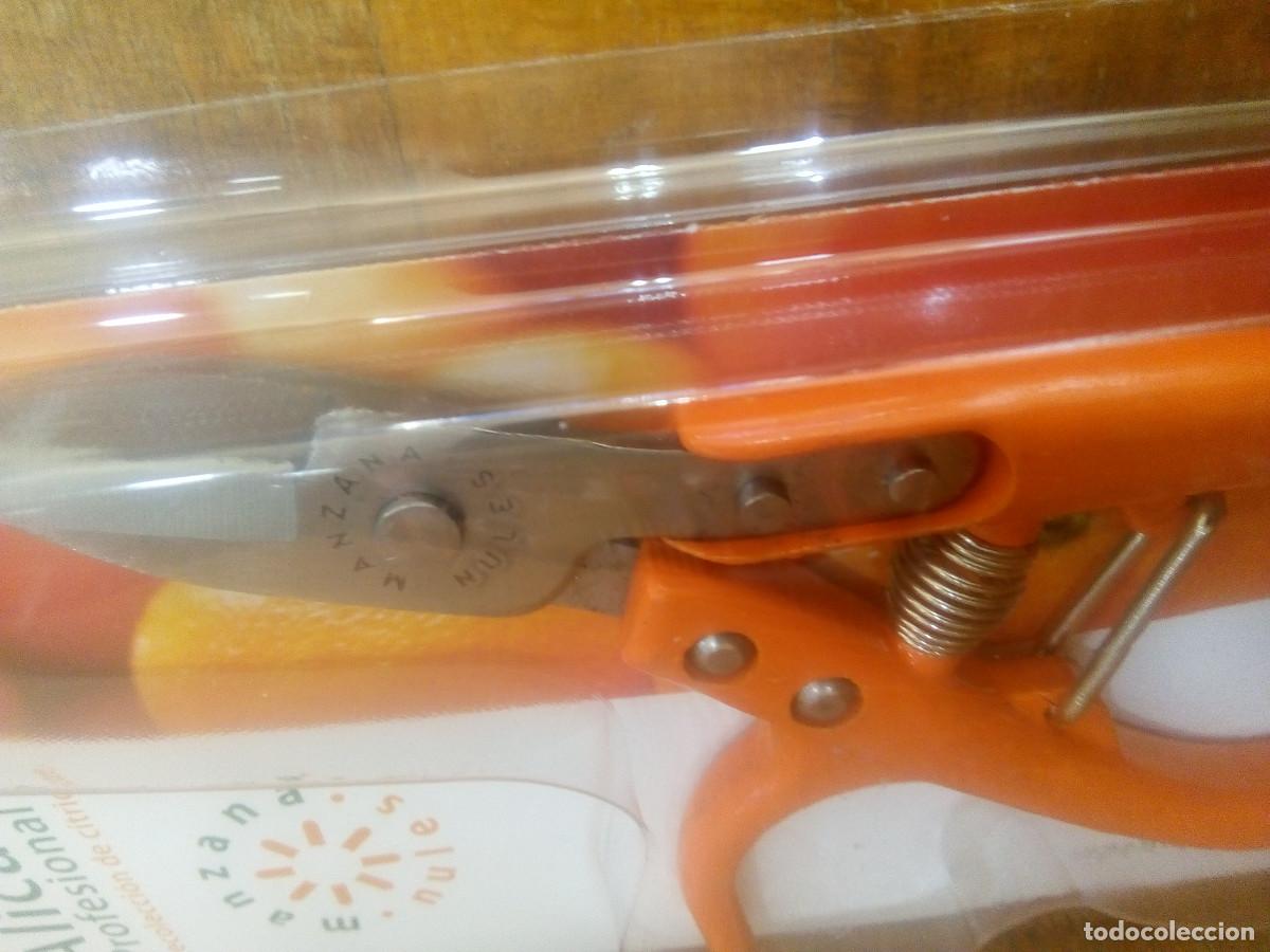 Antig&uuml;edades: ALICATE RECOLECCI&Oacute;N - Foto 2