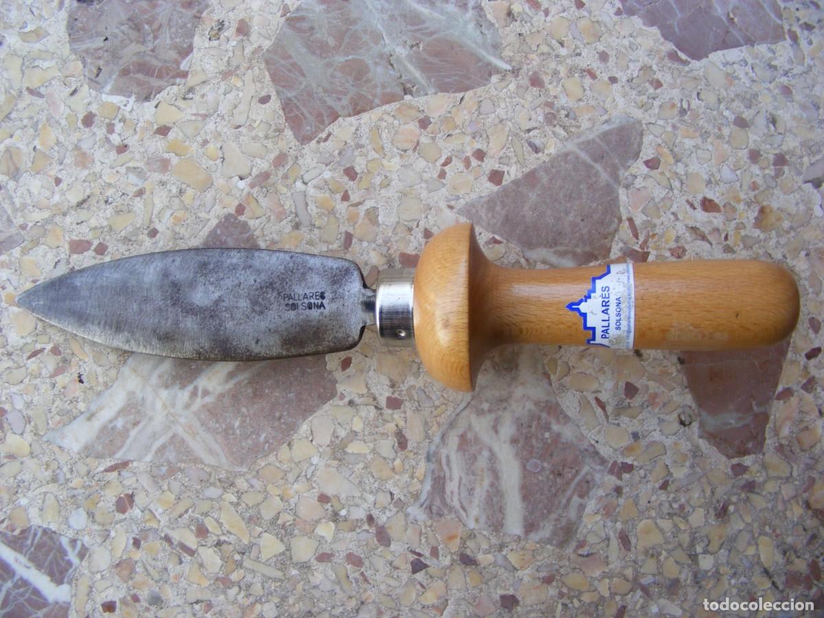 Antig&uuml;edades: HERRAMIENTA PARA BUSCAR TRUFAS - Foto 1